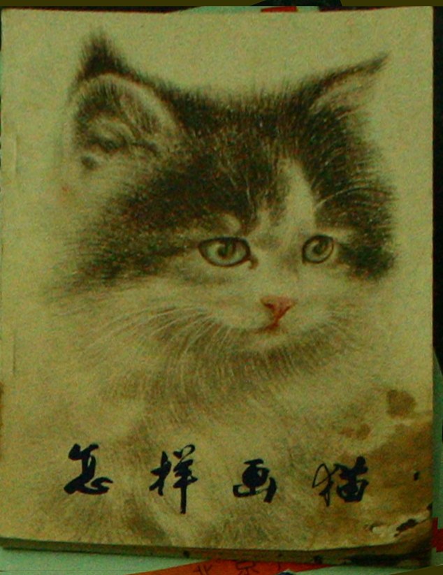 怎样画猫