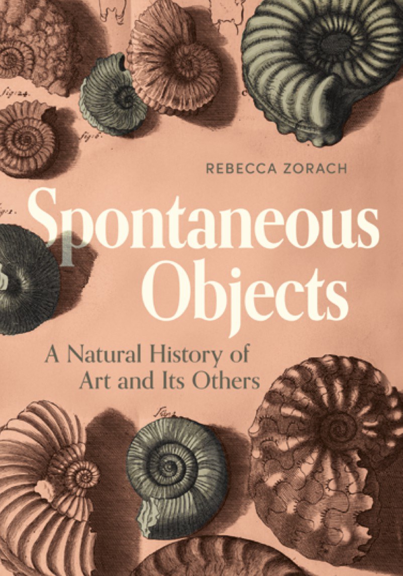 Spontaneous Objects