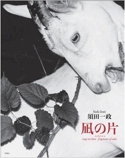 凪の片