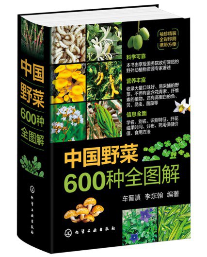 中国野菜600种全图解