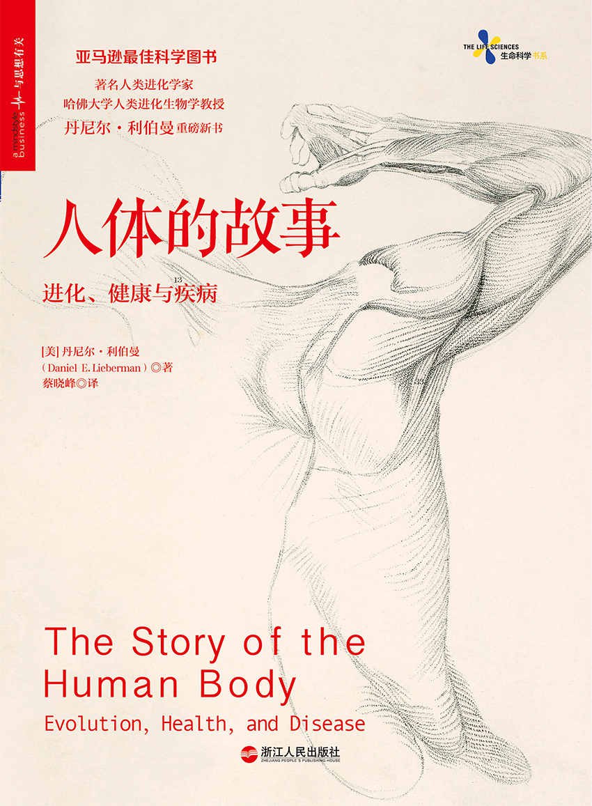 人体的故事