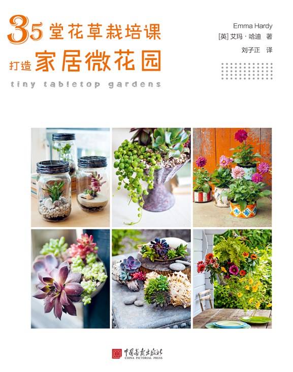 35堂花草栽培课，打造家居微花园