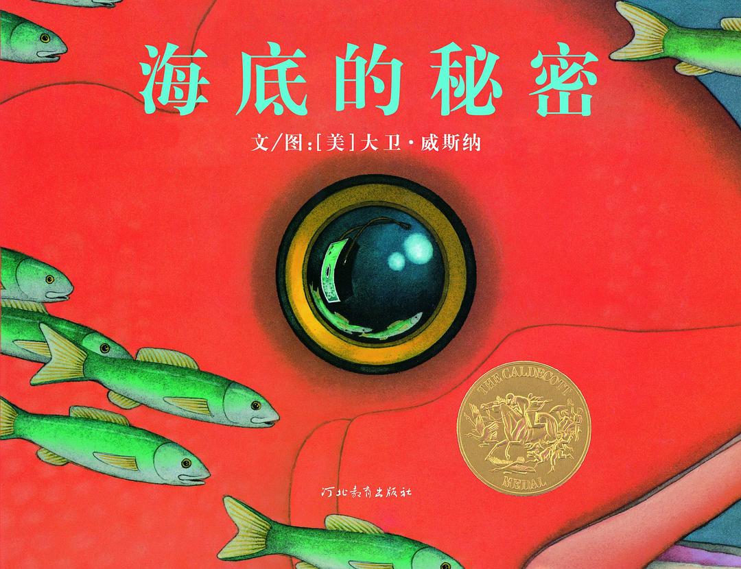 海底的秘密