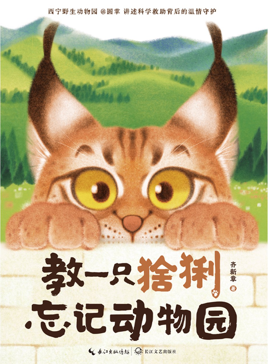 教一只猞猁忘记动物园