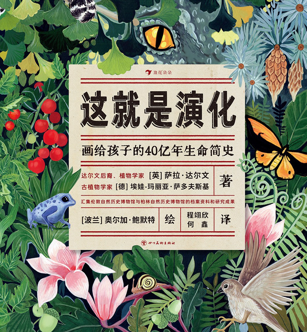 这就是演化