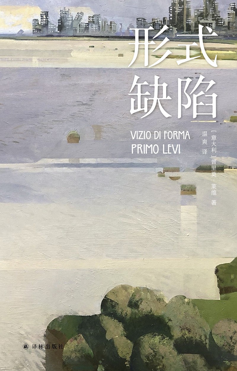 形式缺陷